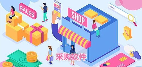 政務(wù)軟件系統(tǒng)采購(gòu)與信息技術(shù)咨詢(xún)服務(wù)指南